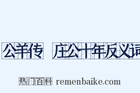 公羊传·庄公十年反义词是什么意思的图片